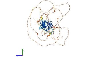 Protein Structure (PS) image for Mitogen-Activated Protein Kinase 8 Interacting Protein 1 (MAPK8IP1) (AA 1-707) protein (His tag) (ABIN7565243)