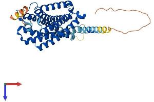 CNR2 Protein (AA 1-360) (His tag)