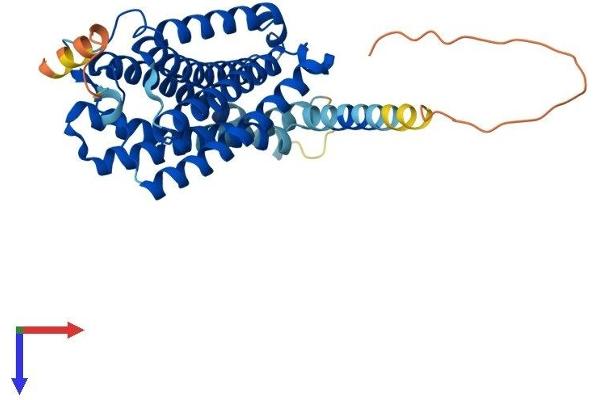 CNR2 Protein (AA 1-360) (His tag)