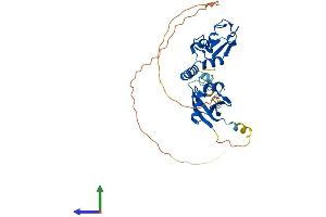 AlphaFold protein structure predicition of Human Recombinant BMI1 Protein, UniprotID P35226