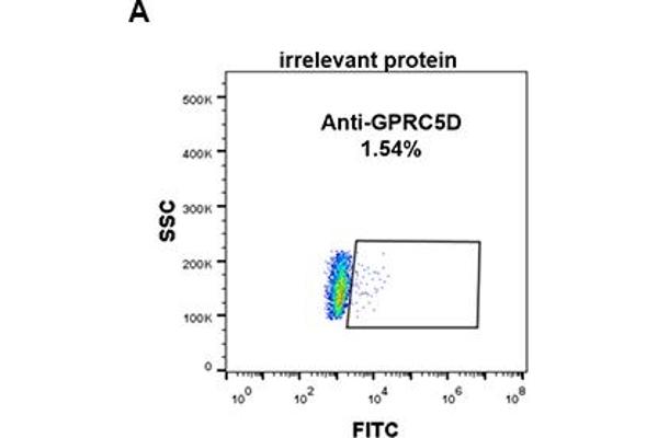 GPRC5D antibody  (AA 1-27)