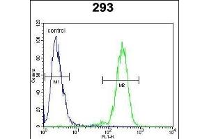 N2A1 Antibody (Center) (ABIN654920 and ABIN2844565) flow cytometric analysis of 293 cells (right histogram) compared to a negative control cell (left histogram). (alpha-Mannosidase II Antikörper  (AA 456-482))