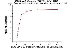 Immobilized A-CoV-2 Spike S2 protein Antibody, Human IgG4 (S2N-S86) at 1 μg/mL (100 μL/well) can bind SARS-CoV-2 S2 protein (A701V), His Tag (ABIN6992376) with a linear range of 0.