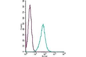 Cell surface detection of VPAC1 by indirect flow cytometry in live intact mouse J774 macrophage cells: + goat-anti-rabbit-FITC.