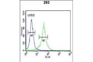 DCD Antibody (C-term) (ABIN390675 and ABIN2840970) flow cytometric analysis of 293 cells (right histogram) compared to a negative control cell (left histogram).