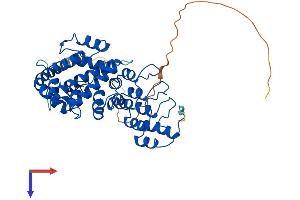 ANKMY2 Protein (AA 1-440) (His tag)