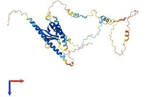 PLEKHO1 Protein (AA 1-409) (His tag)