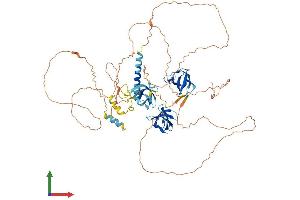 Protein Structure (PS) image for Sorbin and SH3 Domain Containing 3 (Sorbs3) (AA 1-671) protein (His tag) (ABIN7545120)
