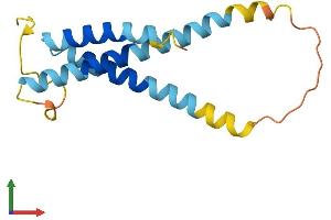 AlphaFold protein structure predicition of Human Recombinant SLC31A2 Protein, UniprotID O15432