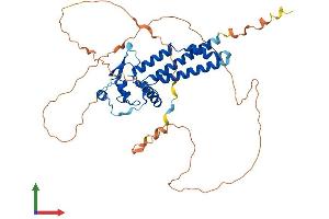 Protein Structure (PS) image for Transcription Factor AP-2 gamma (Activating Enhancer Binding Protein 2 Gamma) (TFAP2C) (AA 1-449) protein (His tag) (ABIN7557689)