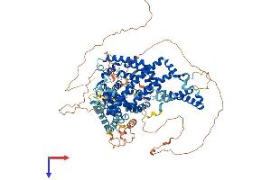 ATG9B Protein (AA 1-922) (His tag)