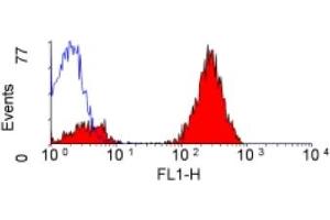 ABIN118478 staining of human peripheral blood lymphocytes. (CD3 Antikörper  (FITC))