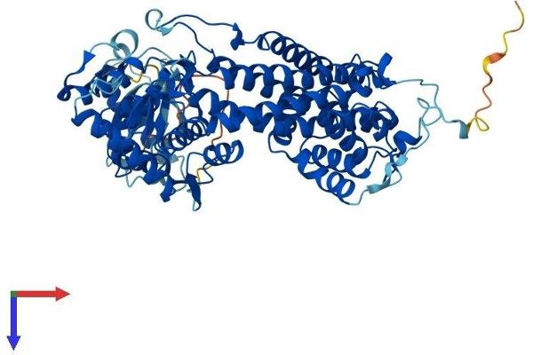 HAL Protein (AA 1-657) (His tag)