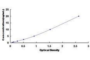 Ankyrin Repeat Domain 1 (Cardiac Muscle) (ANKRD1) ELISA Kit