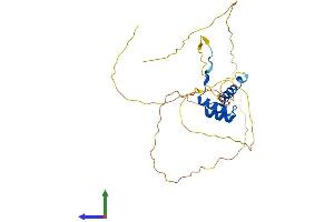 Protein Structure (PS) image for Distal-Less Homeobox 5 (DLX5) (AA 1-289) protein (His tag) (ABIN7547169)