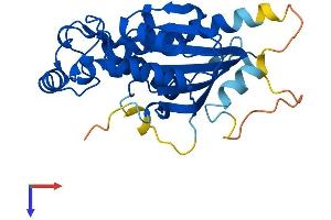TIGAR Protein (AA 1-269) (His tag)