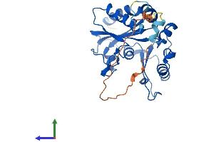 Protein Structure (PS) image for Methylmalonic Aciduria (Cobalamin Deficiency) CblC Type, with Homocystinuria (MMACHC) (AA 1-282) protein (His tag) (ABIN7549399)