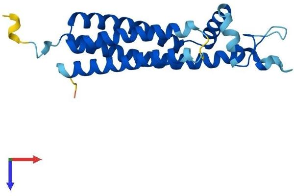 TSPAN13 Protein (AA 1-204) (His tag)