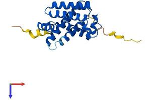 CYGB Protein (AA 1-190) (His tag)