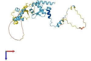 Protein Structure (PS) image for General Transcription Factor IIE, Polypeptide 2 (GTF2E2) (AA 1-291) protein (His tag) (ABIN7544185)