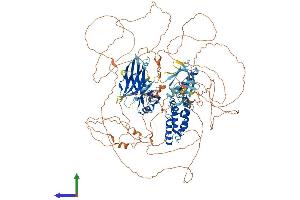 Protein Structure (PS) image for Regulator of G-Protein Signaling 3 (RGS3) (AA 1-1198) protein (His tag) (ABIN7555182)