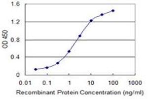 Detection limit for recombinant GST tagged ILKAP is 0. (ILKAP Antikörper  (AA 293-392))