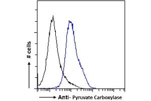 ABIN238663 Flow cytometric analysis of paraformaldehyde fixed HeLa cells (blue line), permeabilized with 0. (PC Antikörper  (Internal Region))