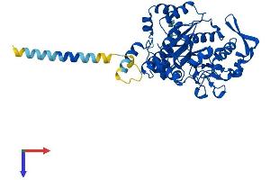 GCNT3 Protein (AA 1-438) (His tag)