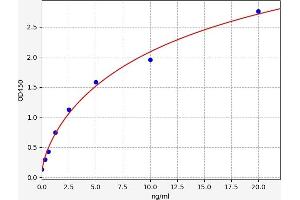 ALDH2 ELISA Kit