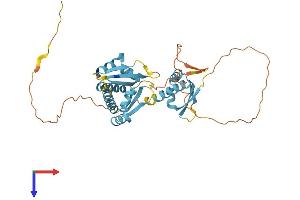PCBP3 Protein (AA 1-371) (His tag)