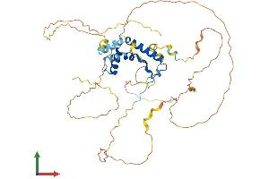 AlphaFold protein structure predicition of Human Recombinant SOX8 Protein, UniprotID P57073 (SOX8 Protein (AA 1-446) (His tag))