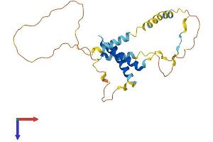 CDCA4 Protein (AA 1-237) (His tag)
