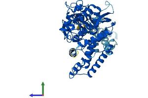 Protein Structure (PS) image for Cytochrome P450, Family 2, Subfamily C, Polypeptide 8 (CYP2C8) (AA 1-490) protein (His tag) (ABIN7546670)