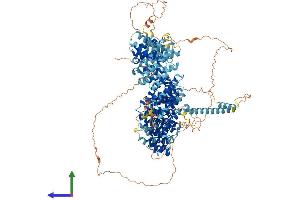 Protein Structure (PS) image for Myb-Binding Protein 1A (MYBBP1A) (AA 1-1328) protein (His tag) (ABIN7554490)