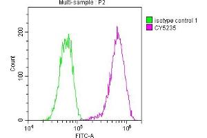 Overlay histogram showing Hela cells stained with ABIN7127599 (red line) at 1:50. (Rekombinanter LDLR Antikörper)