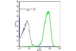 Mouse heptocytes cells probed with Rabbit Anti-Leptin Receptor Polyclonal Antibody, ALEXA FLUOR® 488 Conjugated (ABIN904753) at 1:100 for 40 minutes(green) compared to control cells (blue) (Leptin Receptor Antikörper  (AA 901-1000) (Alexa Fluor 488))