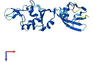 CYB5D1 Protein (AA 1-228) (His tag)