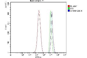 anti-Small Nuclear Ribonucleoprotein 200kDa (U5) (SNRNP200) (AA 557-2129) antibody