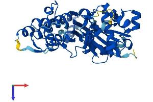 ARPM1 Protein (AA 1-369) (His tag)