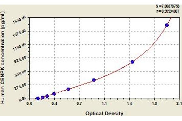 CENPK ELISA Kit