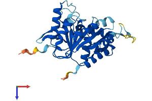 NUBP2 Protein (AA 1-271) (His tag)
