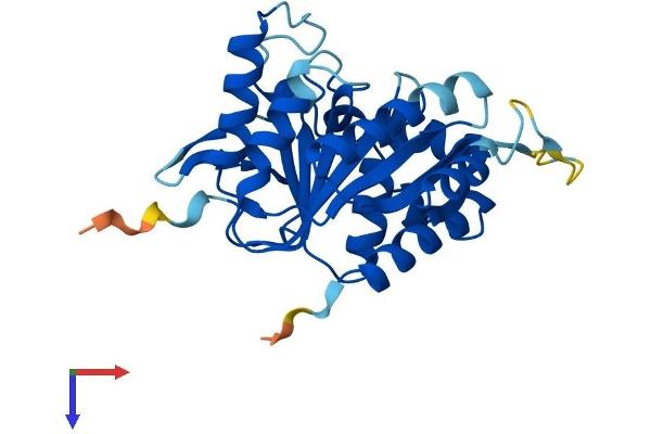 NUBP2 Protein (AA 1-271) (His tag)