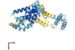DNAJC22 Protein (AA 1-339) (His tag)