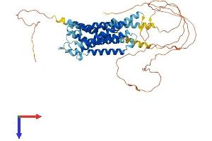 ADRA1B Protein (AA 1-514) (His tag)
