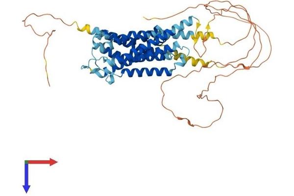 ADRA1B Protein (AA 1-514) (His tag)