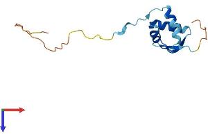 RPS25 Protein (AA 1-125) (His tag)
