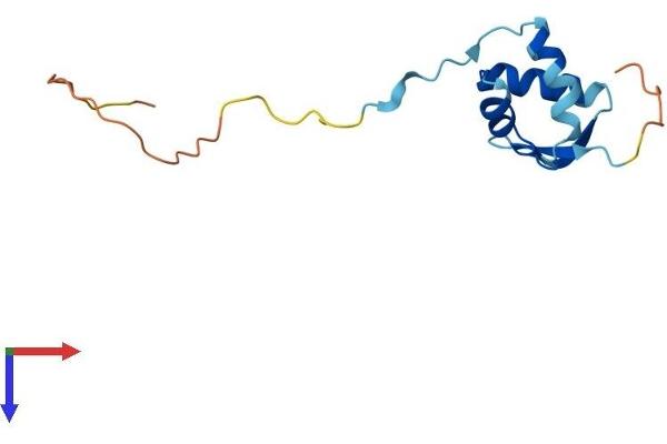RPS25 Protein (AA 1-125) (His tag)