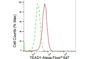 Flow cytometric analysis of TEAD1 expression in HepG2 cells using TEAD1 antibody (ABIN7800524), 1:2,000). (Rekombinanter TEAD1 Antikörper)