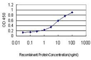 Detection limit for recombinant GST tagged BIRC4 is approximately 0. (XIAP Antikörper  (AA 51-150))