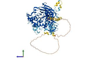 Protein Structure (PS) image for Nephronophthisis 1 (Juvenile) (NPHP1) (AA 1-687) protein (His tag) (ABIN7565155)